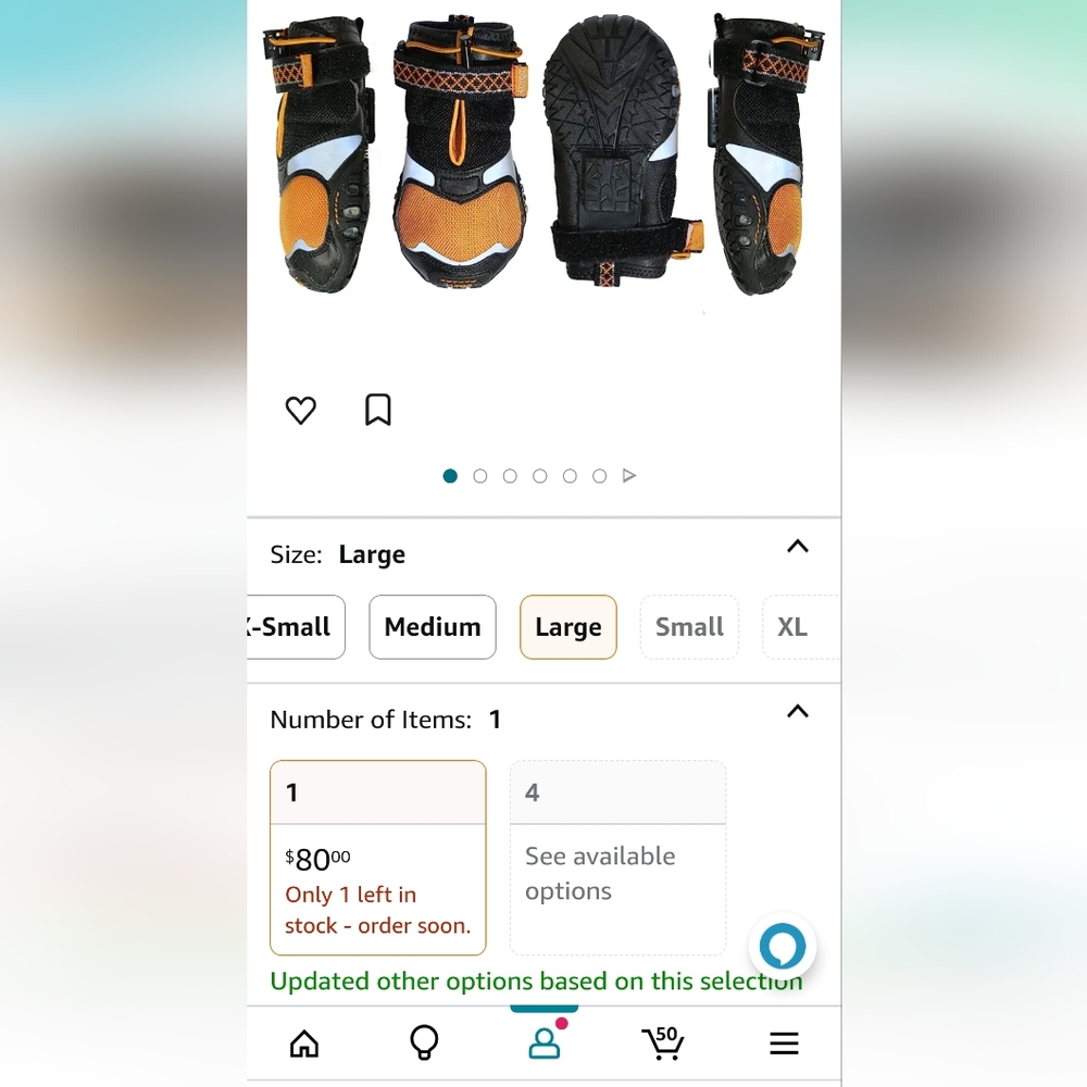 Dog shoes